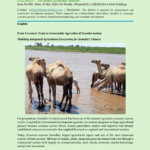 LAILMAAA – The Somali Economic Monitor Issue No.003 LAILMAAA – The Somali Economic Monitor Issue No.003