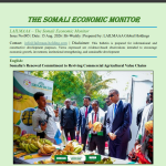 THE SOMALI ECONOMIC MONITOR - issue #5 THE SOMALI ECONOMIC MONITOR issue #5